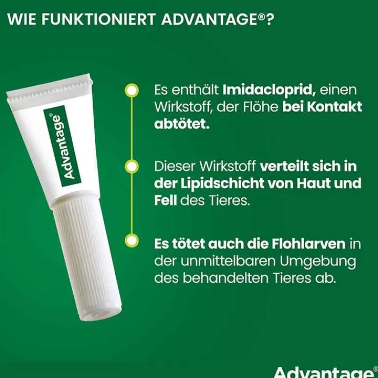 Advantage 40 für Hunde bis 4 kg, 4 St