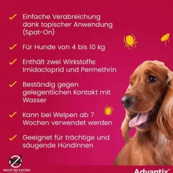 Advantix Spot-on Hund 4 - 10 kg Lösung, 4 St