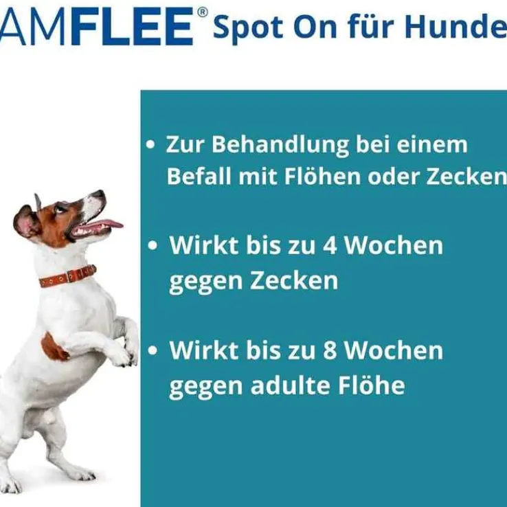 Amflee 134 mg Spot-On Lösung für mittelgroße Hunde, 3 St