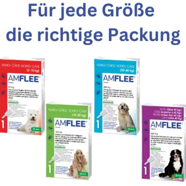 Amflee 134 mg Spot-On Lösung für mittelgroße Hunde, 3 St