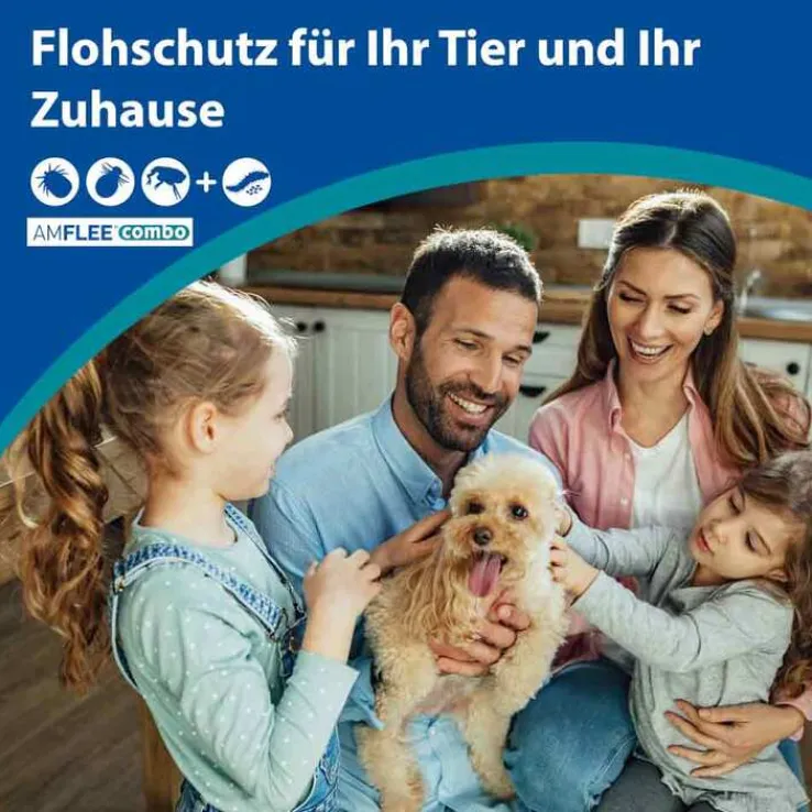 Amflee combo 268/241,2 mg Lösung zum Auftropfen für Hunde 20-40 kg, 3 St