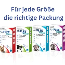 Amflee combo 268/241,2 mg Lösung zum Auftropfen für Hunde 20-40 kg, 3 St