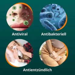 ANGOCIN Anti-Infekt N Filmtabletten, 50 St