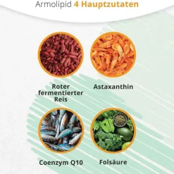 Armolipid Tabletten, 90 St