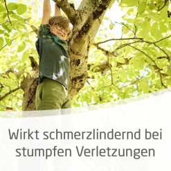 Arnika-Salbe 30% zur Behandlung stumpfer Verletzungen, 25 g