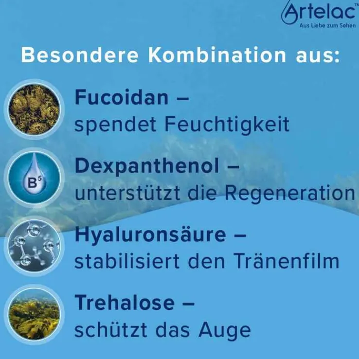 Artelac Augenschutzengel MDO Augentropfen, 10 ml