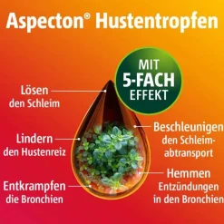 Aspecton® Hustentropfen, 100 ml