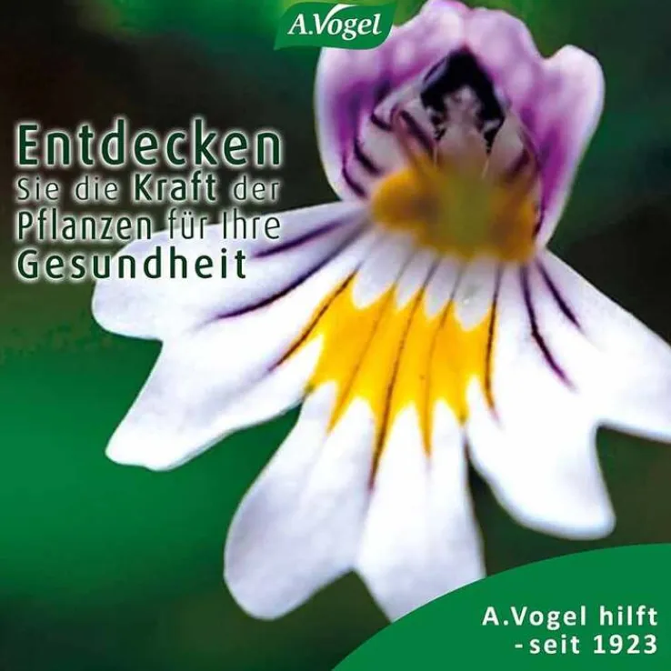 A.VOGEL Augen-Tropfen 6 Mon.n.Öffnen haltbar, 10 ml