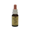 Bachblüten Murnauer Tropfen Clematis, 20 ml