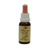 Bachblüten Murnauer Tropfen Rock Water, 20 ml