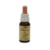 Bachblüten Murnauer Tropfen Elm, 20 ml
