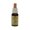 Bachblüten Murnauer Tropfen Gorse, 20 ml
