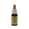 Bachblüten Murnauer Tropfen Impatiens, 20 ml