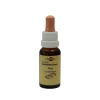 Bachblüten Murnauer Tropfen Pine, 20 ml
