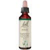 Bachblüten Nr. 15 Holly Tropfen, 20 ml
