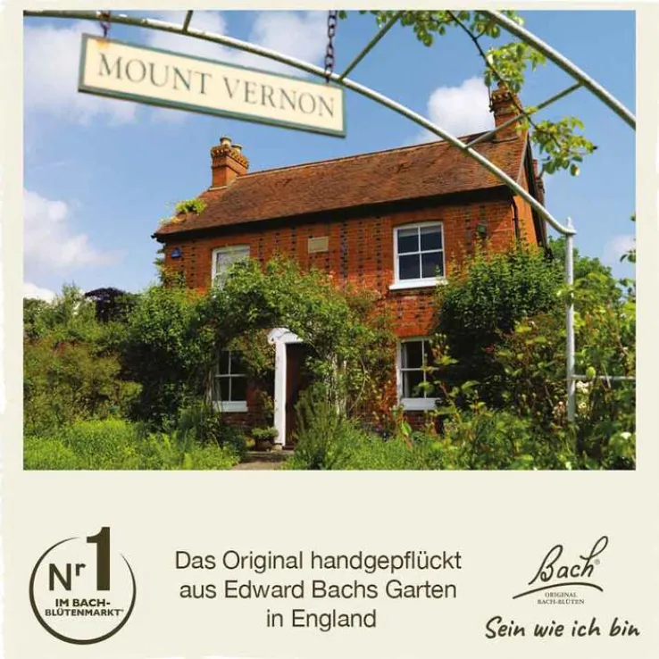 Bachblüten Nr. 21 Mustard Tropfen, 20 ml
