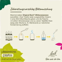 Bachblüten Nr. 24 Pine Tropfen, 20 ml