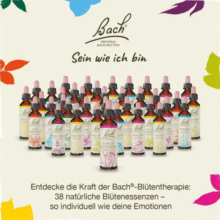 Bachblüten Nr. 26 Rock Rose Tropfen, 20 ml