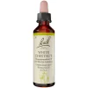 Bachblüten Nr. 35 White Chestnut Tropfen, 20 ml