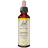 Bachblüten Nr. 36 Wild Oat Tropfen, 20 ml