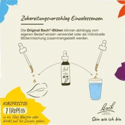 Bachblüten Nr. 36 Wild Oat Tropfen, 20 ml