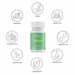 Bromelain 500 mg 1200 F.I.P aus Ananas vegan Kapseln , 100 St
