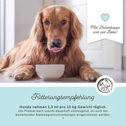 Bronchial Plus Atemwegsmischung Saft für Hunde, 100 ml