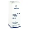 Bryophyllum Argento Cultum Rh D 3 Dilution, 20 ml