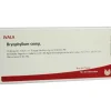 Bryophyllum comp. Ampullen, 10X1 ml