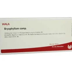 Bryophyllum comp. Ampullen, 10X1 ml