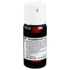 Bryophyllum Urtinktur, 50 ml