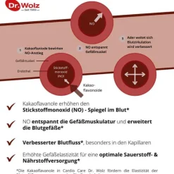 Cardio Care Dr. Wolz Kapseln, 60 St