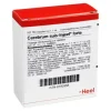 Cerebrum Suis Injeel forte Ampullen, 10 St