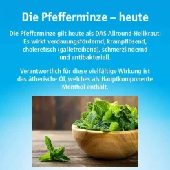 China Oel ohne Inhalator, 10 ml
