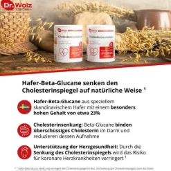 Cholesterinreduktion Dr. Wolz Pulver, 224 g