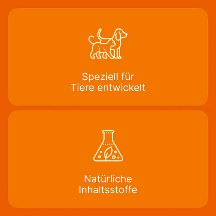 Coenzyme compositum® ad us. vet. Ampullen (2,2 ml), 10 St
