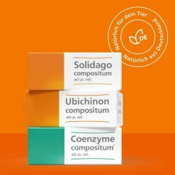 Coenzyme compositum® ad us. vet. Ampullen (2,2 ml), 10 St