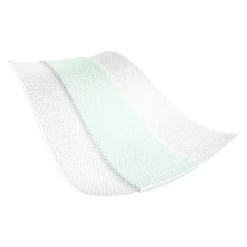 Cosmos Aloe Vera Pflaster 6 cmx0,5 m, 1 St