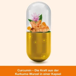 Curcumin-loges Kapseln, 120 St