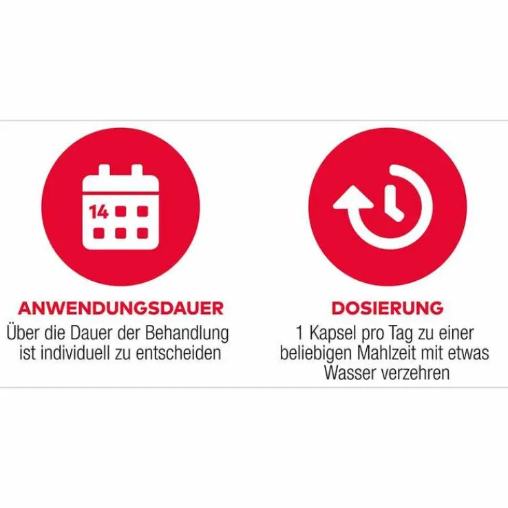 D3 + K2 Vit AL 1000 I.E. / 80 µg Kapseln, 90 St