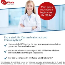 Darmflora plus select intens Kapseln, 80 St