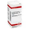 DHU Arsenicum album D 6 Tabletten, 80 St