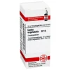 DHU Carbo vegetabilis D 10 Globuli, 10 g