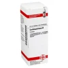 DHU Cardiospermum Urtinktur, 20 ml