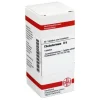 DHU Cholesterinum D 6 Tabletten, 80 St