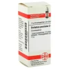 DHU Dolichos pruriens C 6 Globuli, 10 g