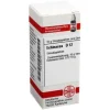 DHU Echinacea HAB D 12 Globuli, 10 g