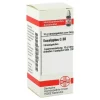 DHU Eucalyptus C 30 Globuli, 10 g