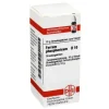 DHU Ferrum phosphoricum D 10 Globuli, 10 g
