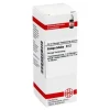 DHU Ginkgo biloba D 12 Dilution, 20 ml